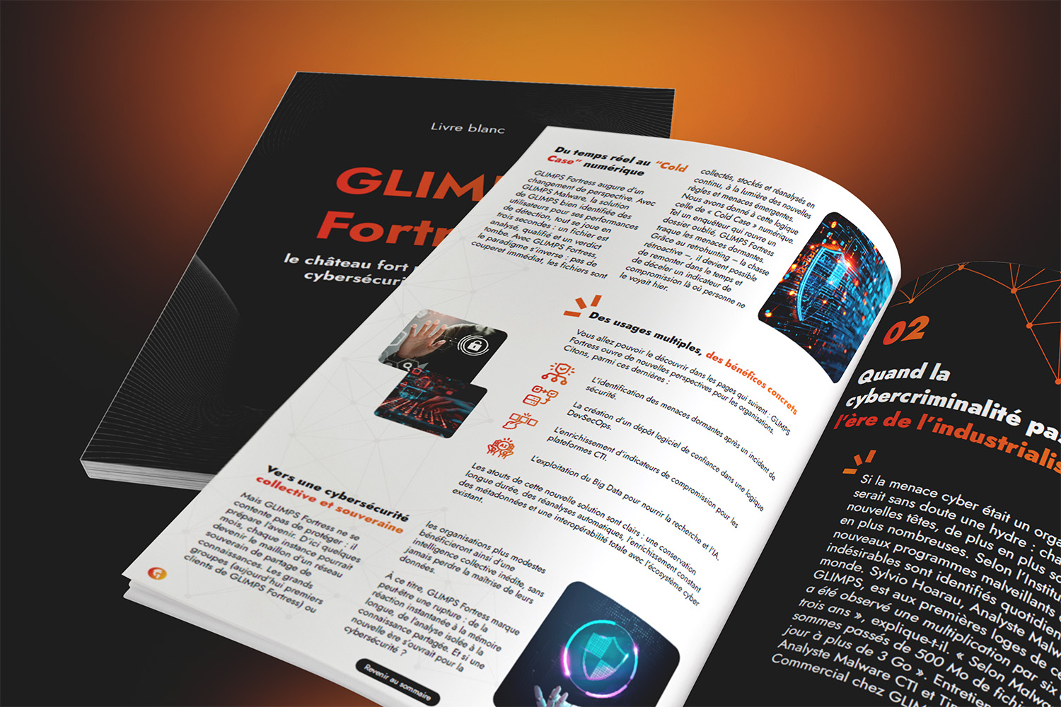 aperçu du livre blanc fortress